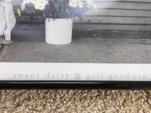 lot 194 image: Sweet Daisy Framed Art By Gail Goodwin