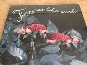 lot 206 image: They Grow Like Weeds Framed Art By Anne Geddes