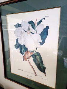 lot 49 image: Pair Of Decorative Framed Floral Prints