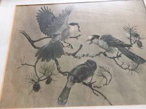 lot 366 image: Vintage Birds on A Branch Framed Art