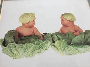 lot 386 image: Lettuce Babies Framed Art