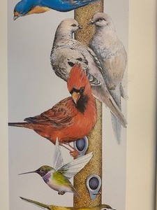 lot 199 image: The Nature Company Framed Art By Kimberly Beck