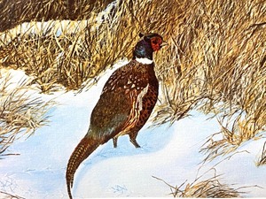 lot 216 image: Robert Hinton Pheasants Framed Art