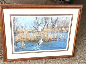 lot 231 image: Mallards Framed Art by Plasschaet