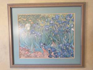 Framed Van Gogh Irises Print