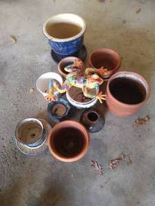 Collection of Flower Pots