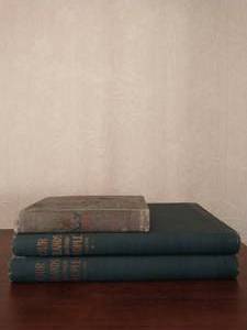 Collection of Three Old Books