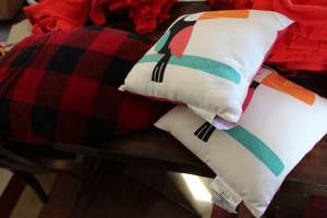 Fuzzy Throw Blanket with 2-Tucan Throw Pillows