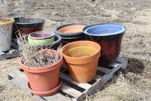 Lot of (8) Planters