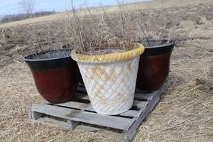 Lot of (4) Large Planters