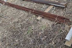 Lot of (15) Steel Rods 12Dx10L