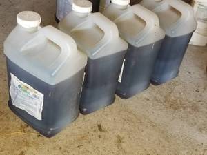 Lot of (4) Mec Amine-D Turf Herbicide Plastic Bottle 2-12 Gallon (in 4 bottles)