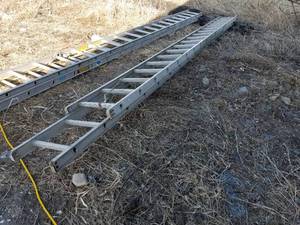 Aluminum Extension Ladder 36L