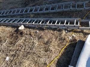 Aluminum Extension Ladder 36L
