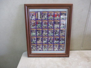 Vikings Card Display
