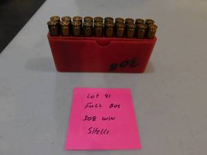 Full Box of 308 Winchester Shells