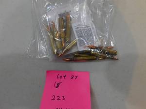 15 - 223 Shells