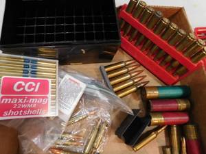 Box of Misc. Shells