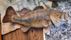 lot 122 image: Large Mouth Bass Mount