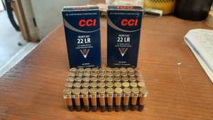 lot 305 image: CCI 22 Long Rifle, 40 Grain (Lot of 2 Boxes, 100 Total Rounds)