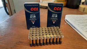 lot 306 image: CCI 22 Long Rifle, 40 Grain (Lot of 2 Boxes, 100 Total Rounds)
