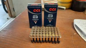 lot 307 image: CCI 22 Long Rifle, 40 Grain (Lot of 2 Boxes, 100 Total Rounds)