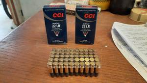 lot 309 image: CCI 22 Long Rifle, 40 Grain (Lot of 2 Boxes, 100 Total Rounds)