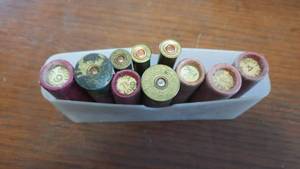 lot 324 image: Lot of 10 Various Shotgun Shells