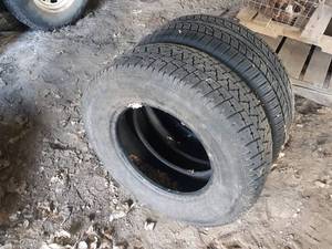 lot 613 image: Pair of used Tires - Good Tread