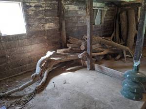 lot 588 image: Large Lot of Uncut Lumber Been Sitting a long time in barn - nice and dry
