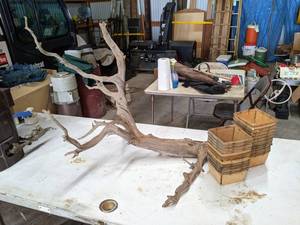 lot 674 image: Driftwood Branch, Wood Dry Pint Baskets