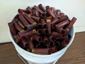 lot 70 image: 5 Gallon Bucket Federal 12 GA  2.75 Spent Shotgun Shells