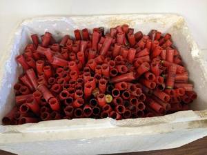 lot 83 image: Large Tote of Assorted Winchester 12 GA Spent Shotgun Shells - Look to be Mostly 3