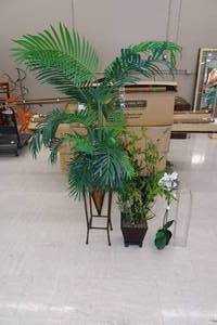 lot 192 image: 3 Artificial Plants, Large Square Vase