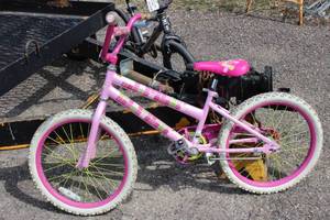 Sea Star Girls Purple Bike