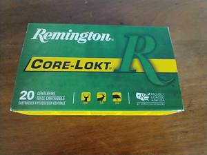 20 Rounds .270 Ammunition