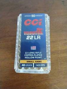 50 Rounds .22 Hollow Point Hunting Ammunition