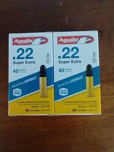 100 Rounds .22 Lead Bullet Ammunition