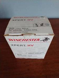 500 Rounds .22 Hollow Point Ammunition
