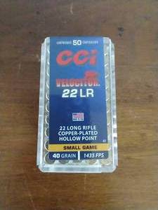 50 Rounds .22 Hollow Point Hunting Ammunition