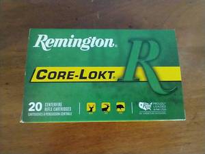 20 Rounds .270 Ammunition