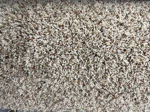 lot 304 image: 12 x 13 (156 Sq Ft) Karastan High Sierra Alpine Meadow Carpet