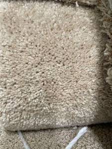lot 306 image: 12 x 119 (141 Sq Ft) Shaw Valleydale Cameo Carpet