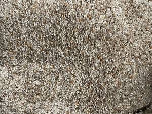 lot 307 image: 12 x 116 (138 Sq Ft) Shaw Stardust Barn Wood Carpet