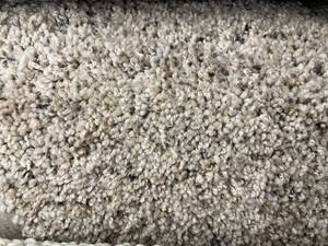 lot 308 image: 12 x 12 (144 Sq Ft) Karastan Manet Boardwalk Carpet