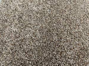 lot 309 image: 12 x 263 (315 Sq Ft) Shaw Stardust Antiquity Carpet