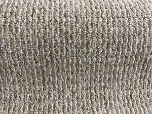 lot 316 image: 12 x 19 (228 Sq Ft) Shaw Step Up Gatsby Carpet