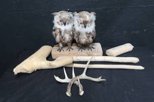 OWL DECOR