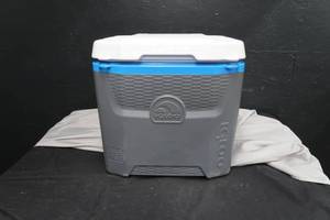 IGLOO COOLER