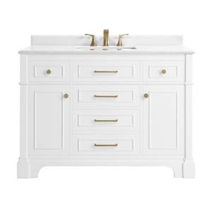 lot 53 image: HOMDE DECORATORS COLLECTION Melpark 48 in. W x 22 in. D Bath Vanity in Dove Grey with Cultured Marble Vanity Top in White with White Sink